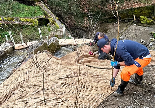 Baumpflege und Geländeunterhalt der Schwendimann AG