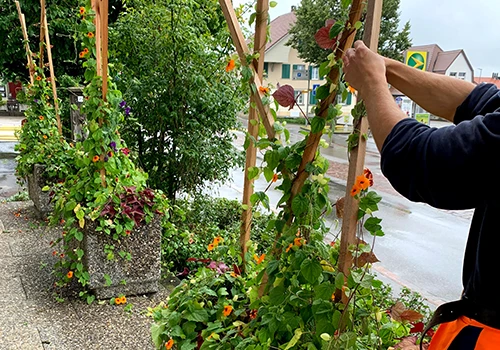 Wir sorgen für blühenden Blumenschmuck und schöne Aussenbegrünung