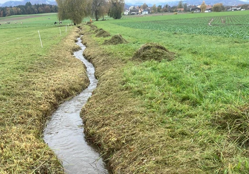 Pflege von Gewässern und Bächen
