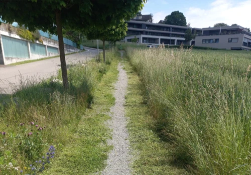 Mährarbeiten - mähen mit Balkenmäher oder Fadenmäher